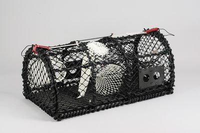 Hummerteine 15kg, yrkesfiske