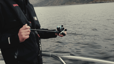 Williamson Solid Carbon SJ-Blå- 6,3' opp til 300g (Haspel)